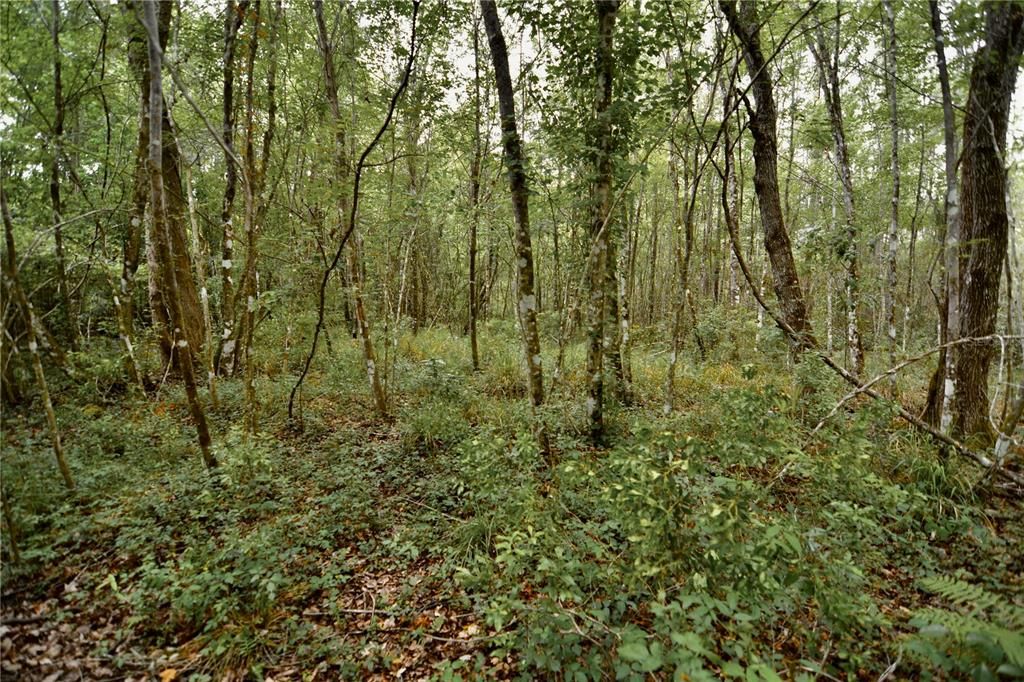 待售: $105,000 (15.00 acres)