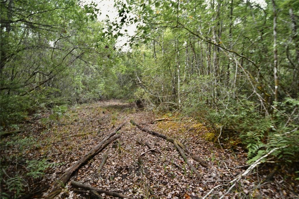 待售: $105,000 (15.00 acres)