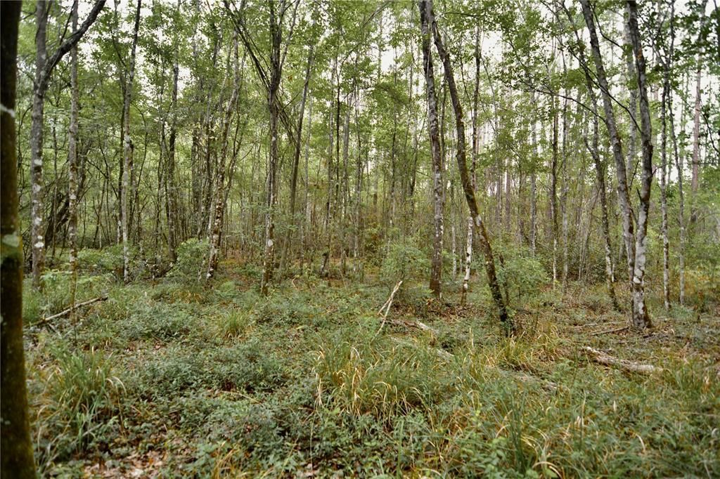 待售: $105,000 (15.00 acres)