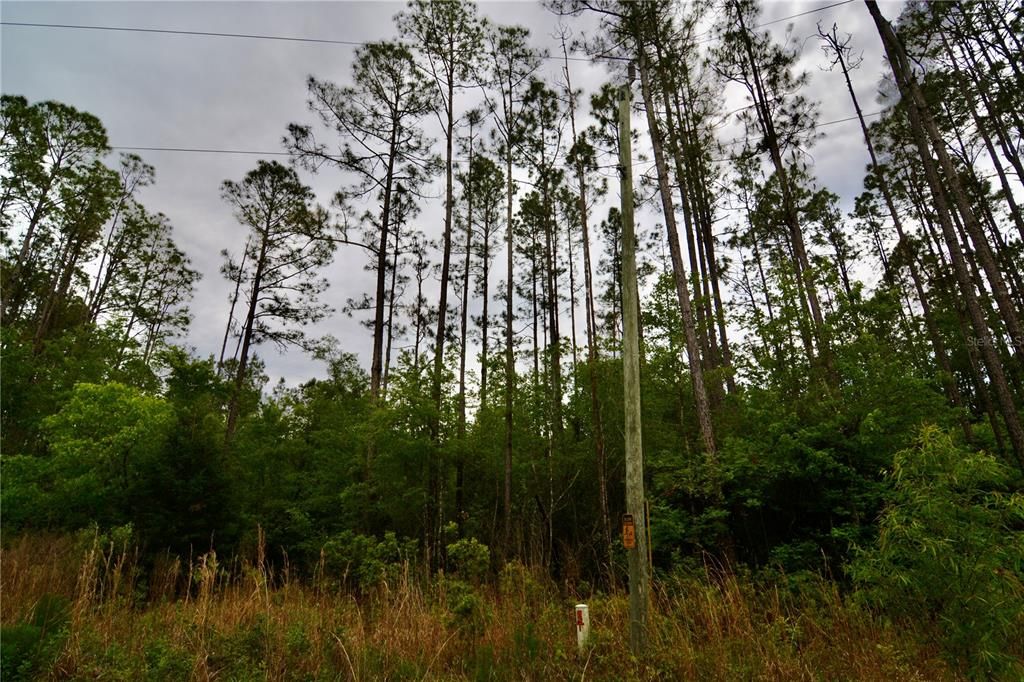待售: $105,000 (15.00 acres)