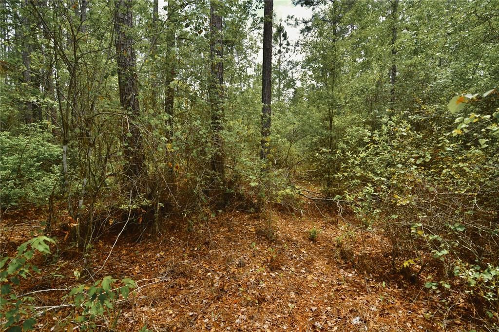 待售: $105,000 (15.00 acres)