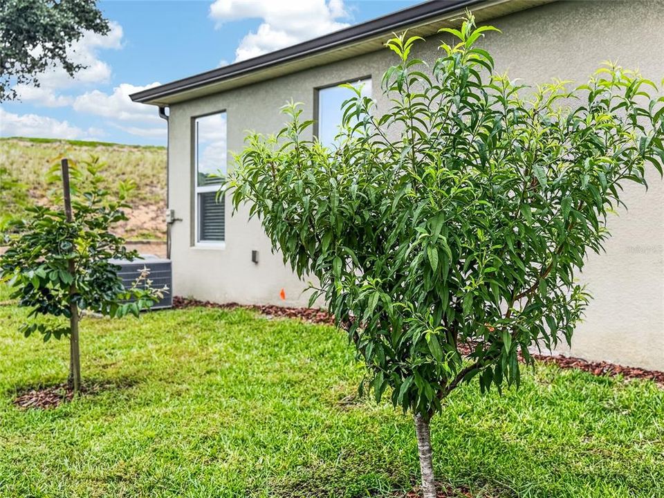 В аренду: $2,650 (3 спален, 2 ванн, 2190 Квадратных фут)