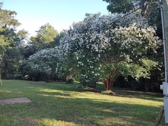 For Rent: $1,400 (3 beds, 2 baths, 1216 Square Feet)