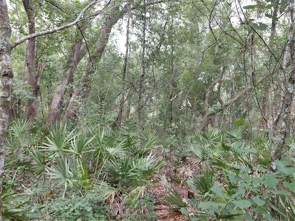 待售: $49,000 (0.97 acres)