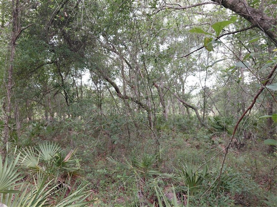 待售: $49,000 (0.97 acres)