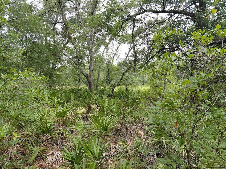 待售: $49,000 (0.97 acres)