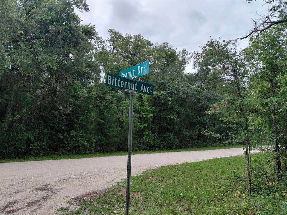 待售: $49,000 (0.97 acres)