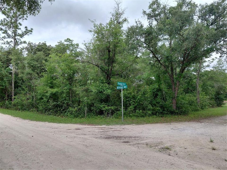 待售: $49,000 (0.97 acres)