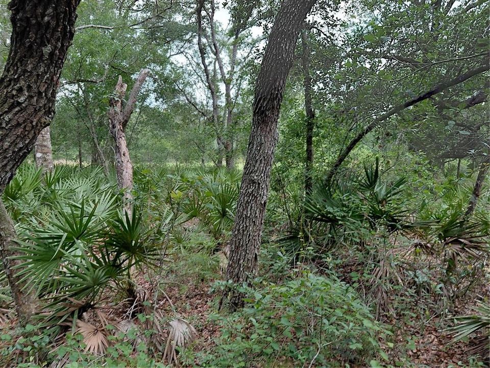 待售: $49,000 (0.97 acres)