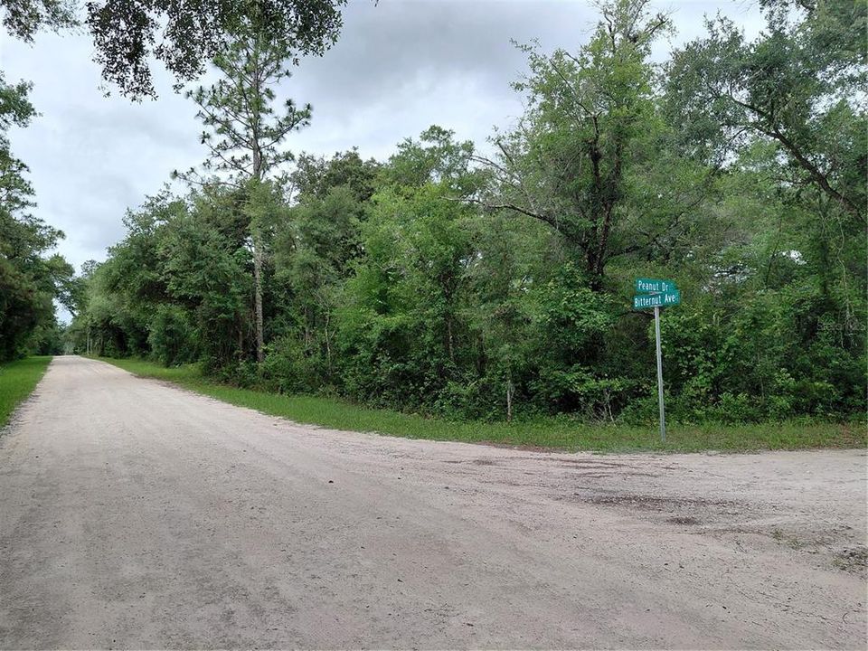 待售: $49,000 (0.97 acres)