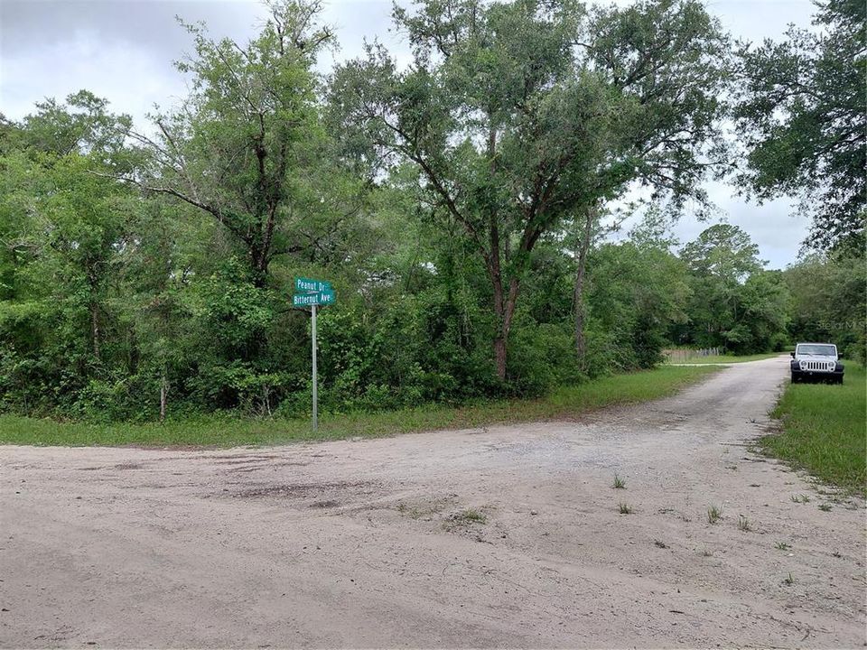 待售: $49,000 (0.97 acres)