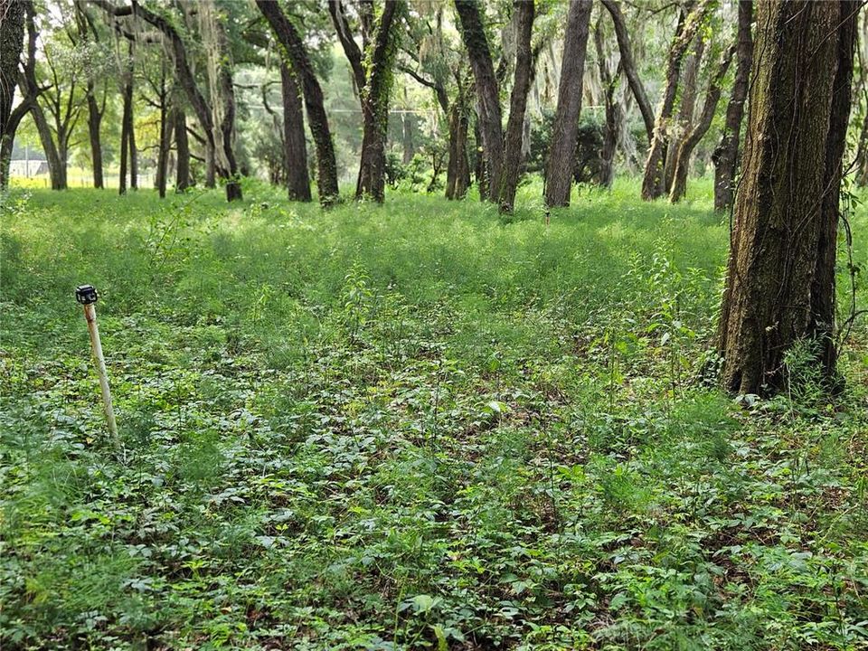 En Venta: $600,000 (20.00 acres)