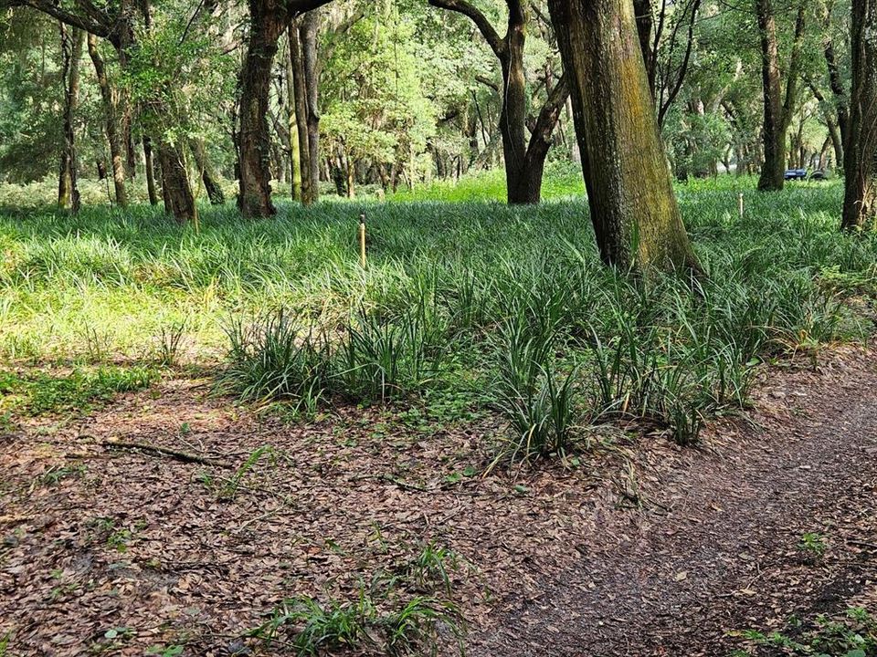 En Venta: $600,000 (20.00 acres)