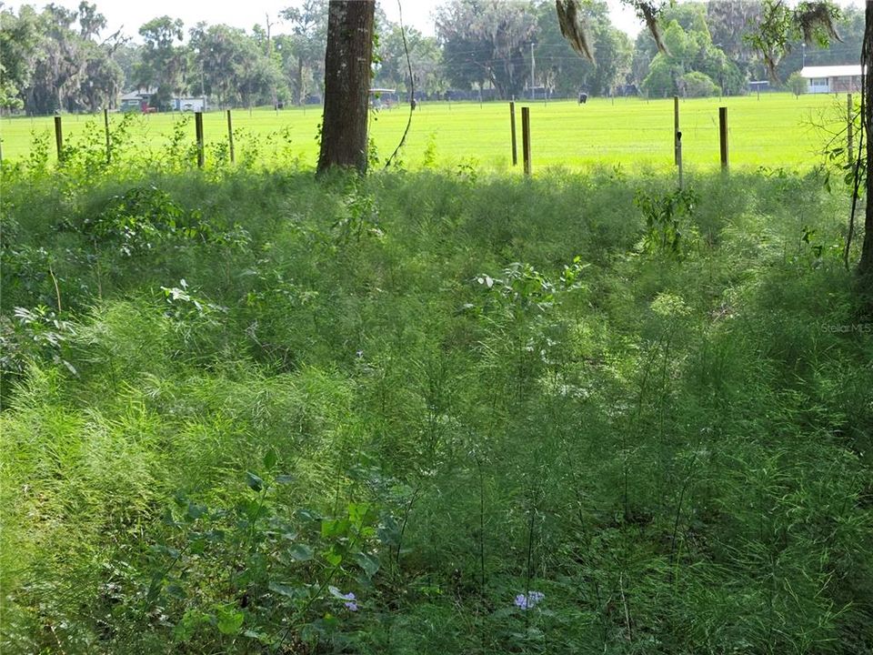 En Venta: $600,000 (20.00 acres)