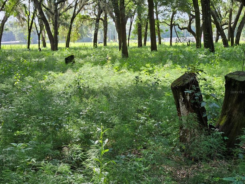En Venta: $600,000 (20.00 acres)