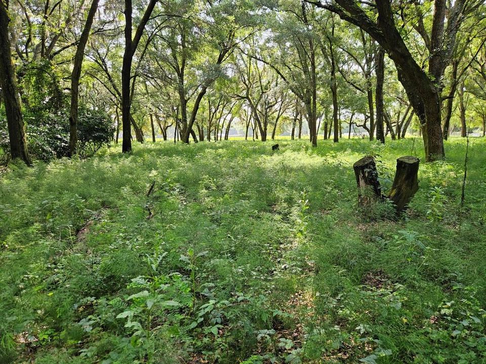 En Venta: $600,000 (20.00 acres)