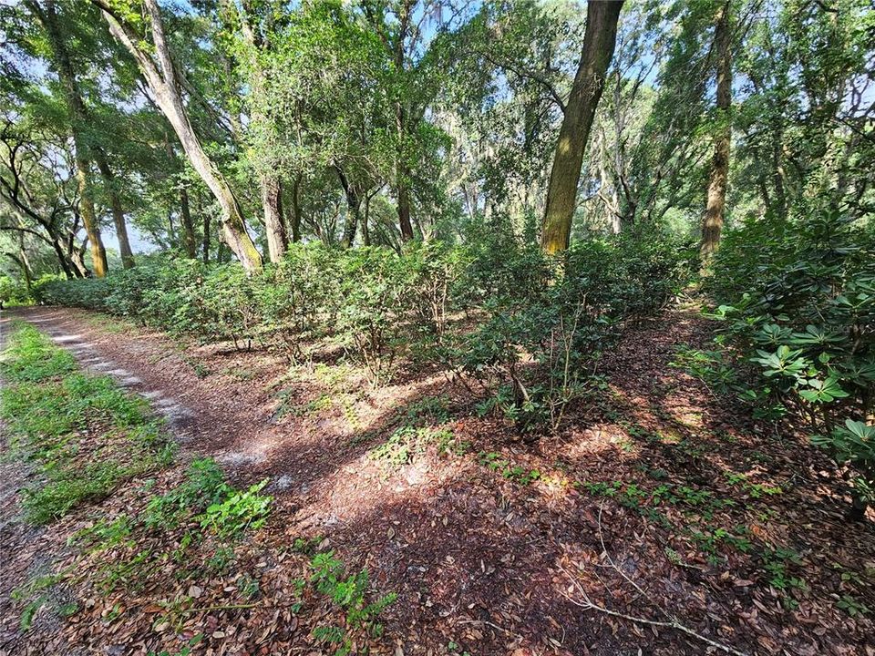 En Venta: $600,000 (20.00 acres)