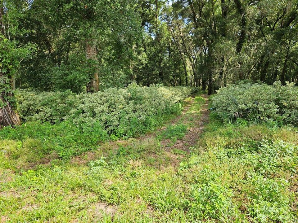 En Venta: $600,000 (20.00 acres)