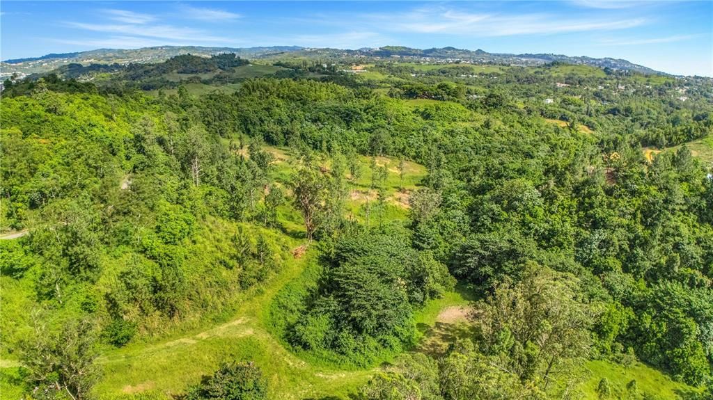 На продажу: $295,000 (4.86 acres)