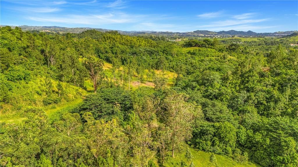 На продажу: $295,000 (4.86 acres)