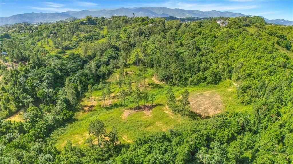 На продажу: $295,000 (4.86 acres)
