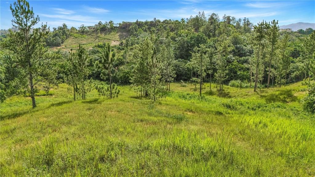 На продажу: $295,000 (4.86 acres)
