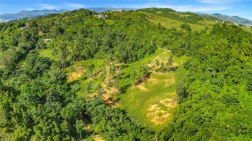 На продажу: $295,000 (4.86 acres)