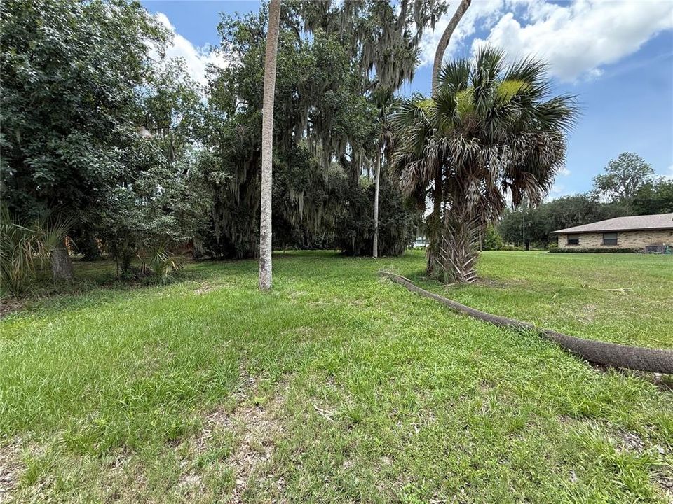 待售: $79,000 (0.45 acres)