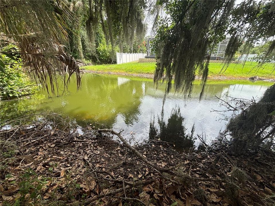 待售: $79,000 (0.45 acres)