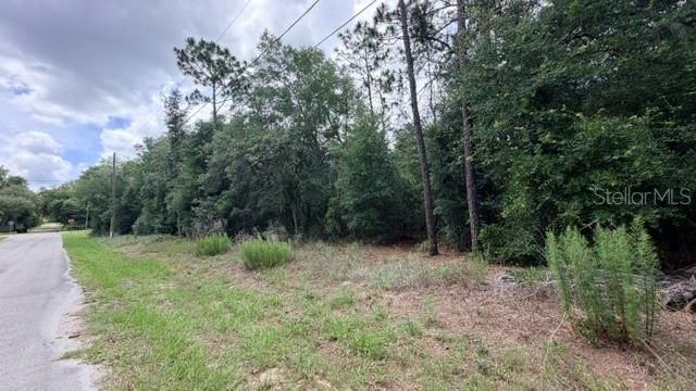 На продажу: $32,000 (0.22 acres)