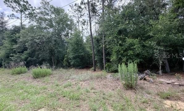 На продажу: $32,000 (0.22 acres)