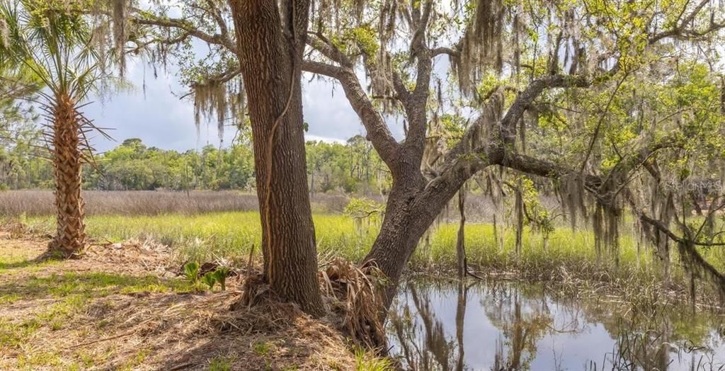 На продажу: $750,000 (12.70 acres)