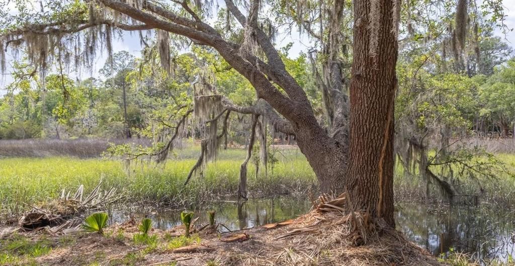 На продажу: $750,000 (12.70 acres)