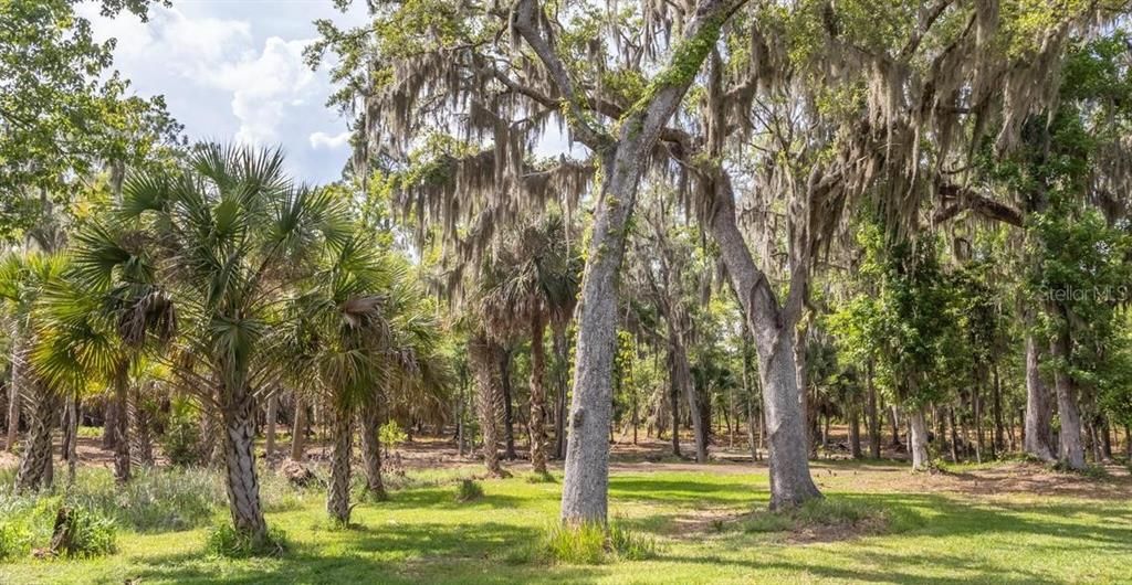 На продажу: $750,000 (12.70 acres)