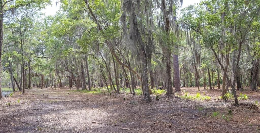 На продажу: $750,000 (12.70 acres)