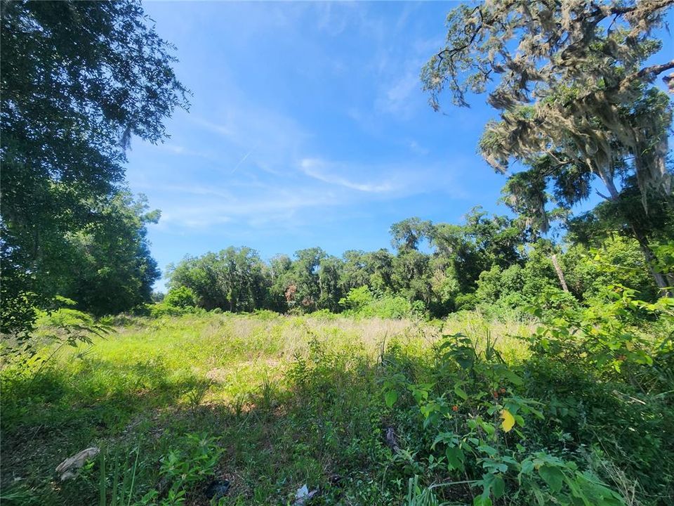 For Sale: $100,000 (1.25 acres)