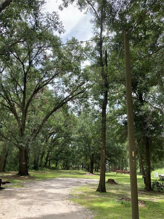 待售: $95,000 (1.30 acres)