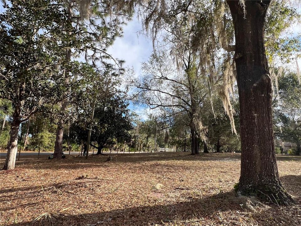 For Rent: $3,000 (4 beds, 2 baths, 2010 Square Feet)