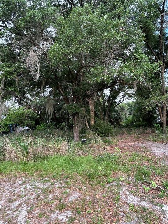 待售: $70,000 (0.35 acres)