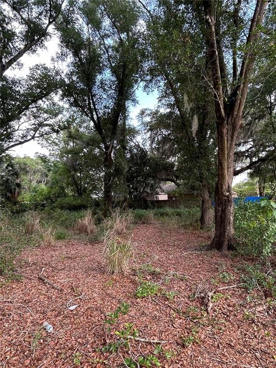 待售: $70,000 (0.30 acres)