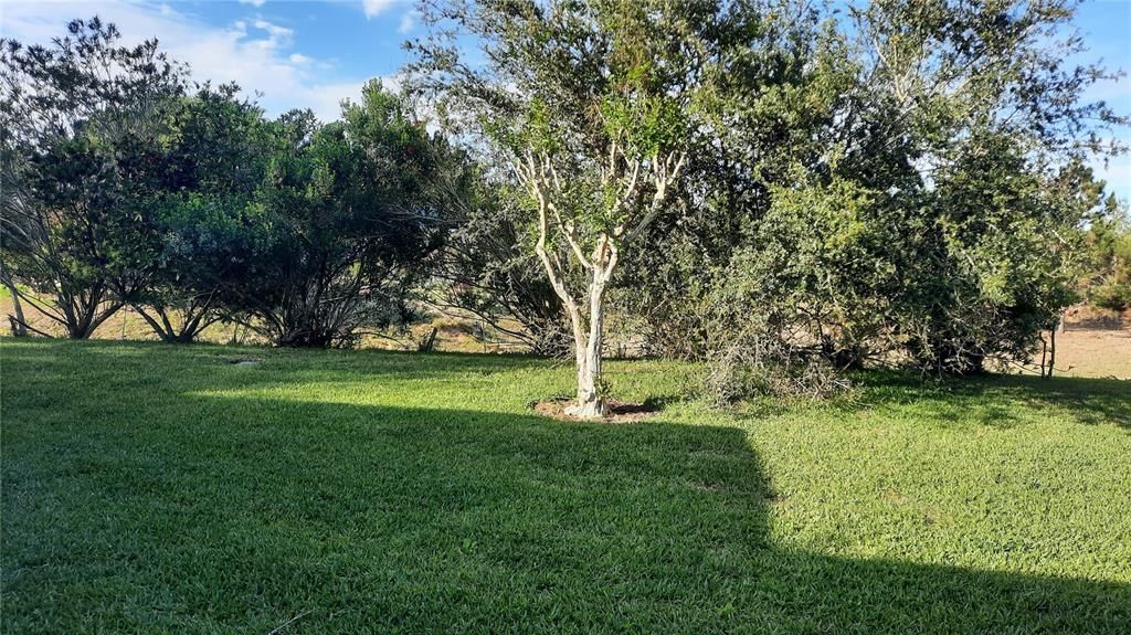 For Rent: $2,900 (3 beds, 2 baths, 2111 Square Feet)