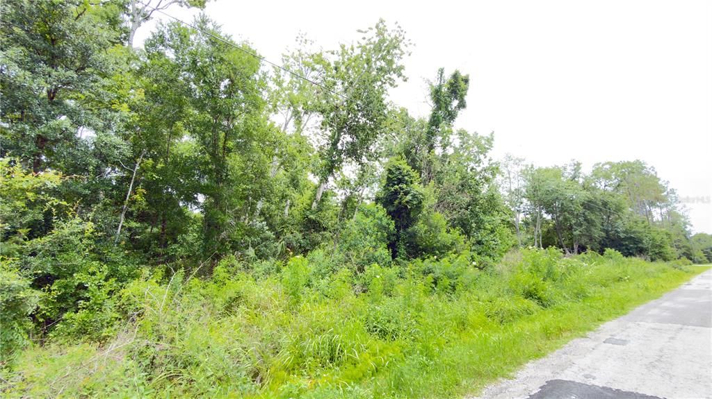For Sale: $89,900 (1.08 acres)