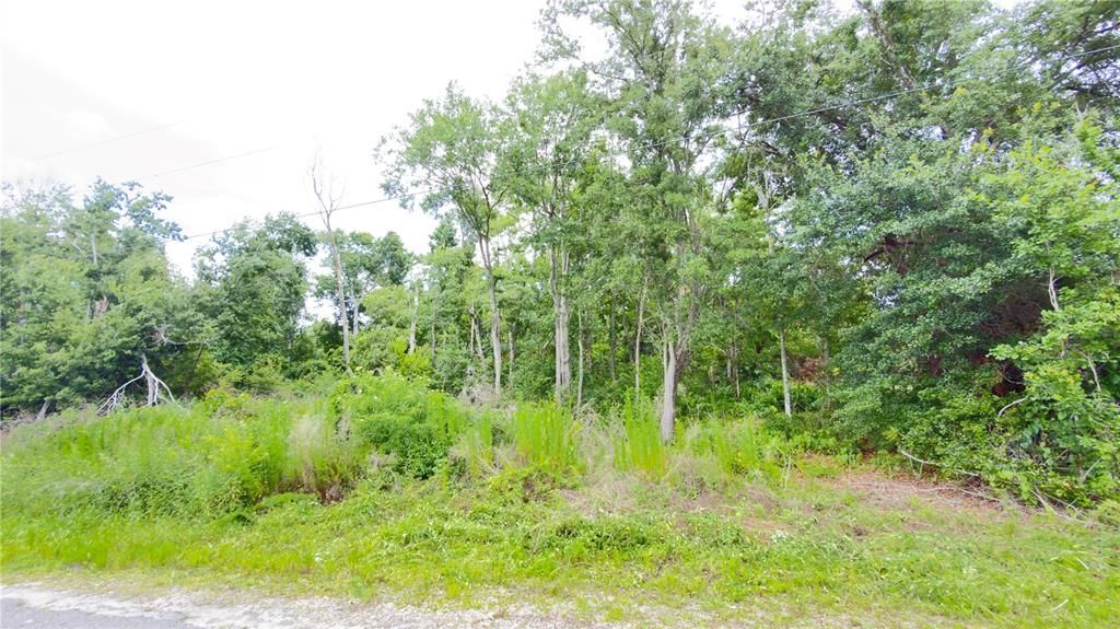 For Sale: $89,900 (1.08 acres)