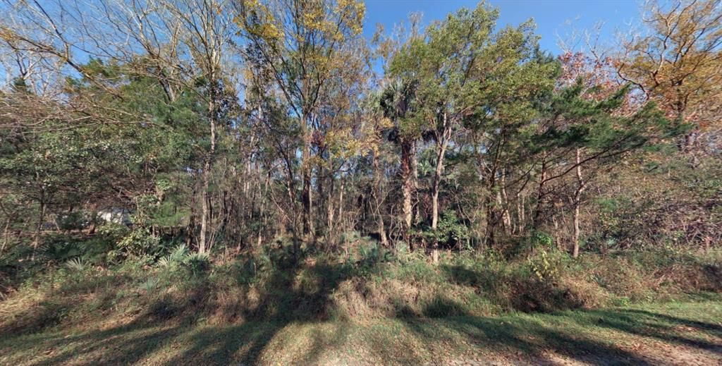 For Sale: $50,000 (1.14 acres)