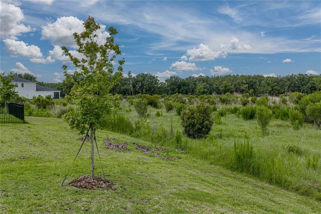 For Sale: $490,000 (4 beds, 3 baths, 2285 Square Feet)