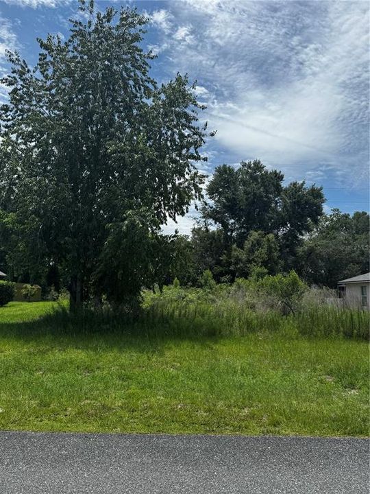 For Sale: $50,000 (0.23 acres)