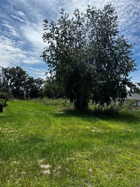 For Sale: $50,000 (0.23 acres)