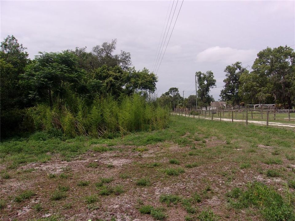 В аренду: $1,350 (2 спален, 1 ванн, 672 Квадратных фут)