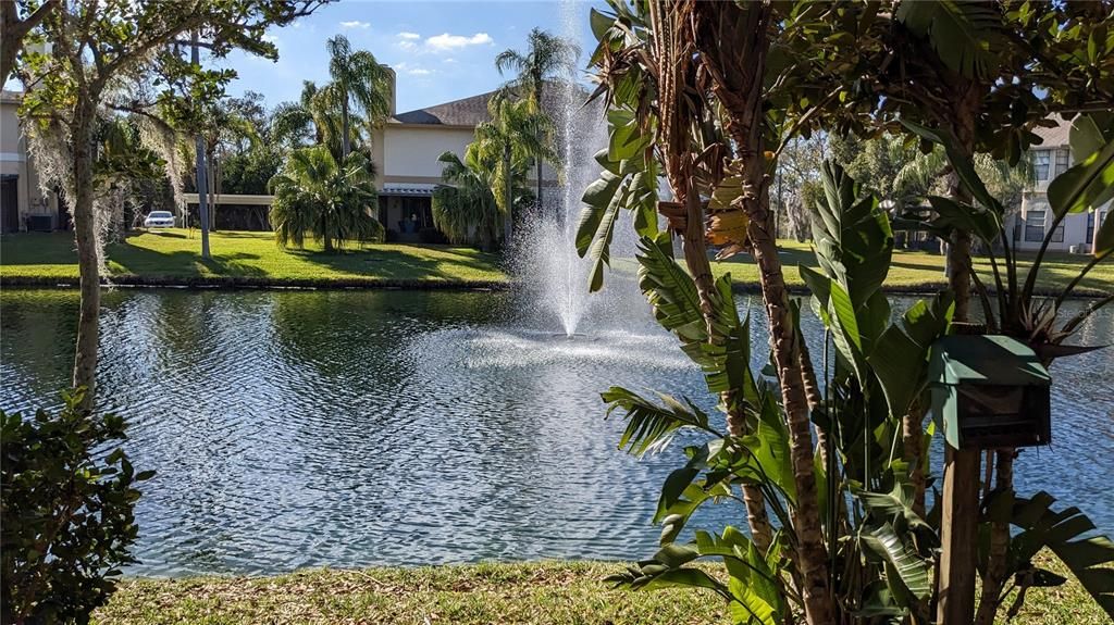 For Rent: $2,000 (2 beds, 2 baths, 1235 Square Feet)