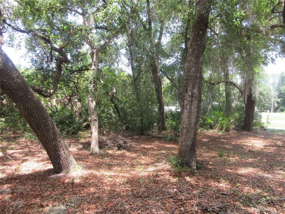 For Sale: $120,000 (3 beds, 2 baths, 1083 Square Feet)